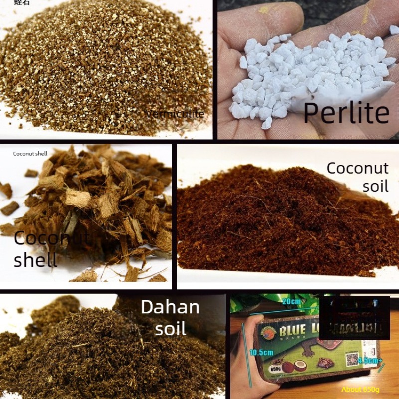 Coconut Soil Brick Reptile Sub - Sphagnum Moss Dry ulasan dan harga