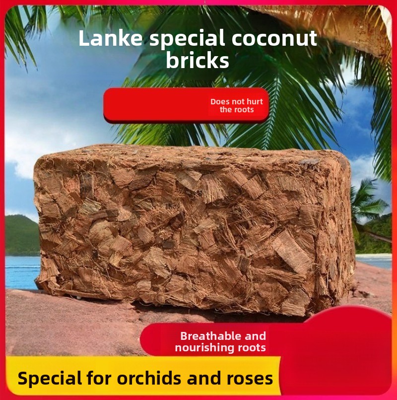 Coconut Coir Brick with Organi - Sphagnum Moss Dry ulasan dan harga