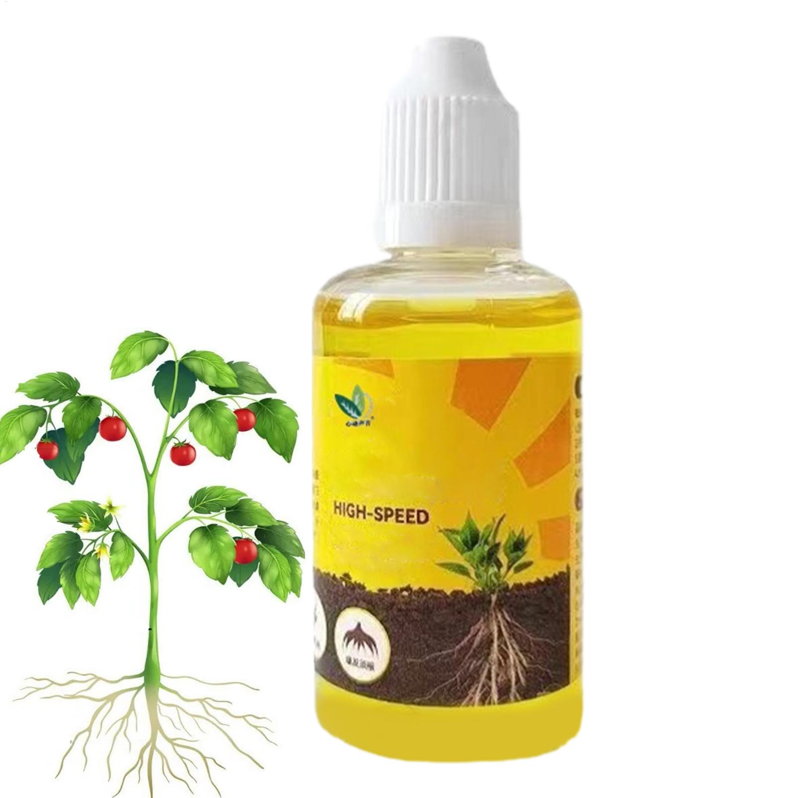 50ml Plant Rooting Stimulator  - Root Stimulator Liquid ulasan dan harga