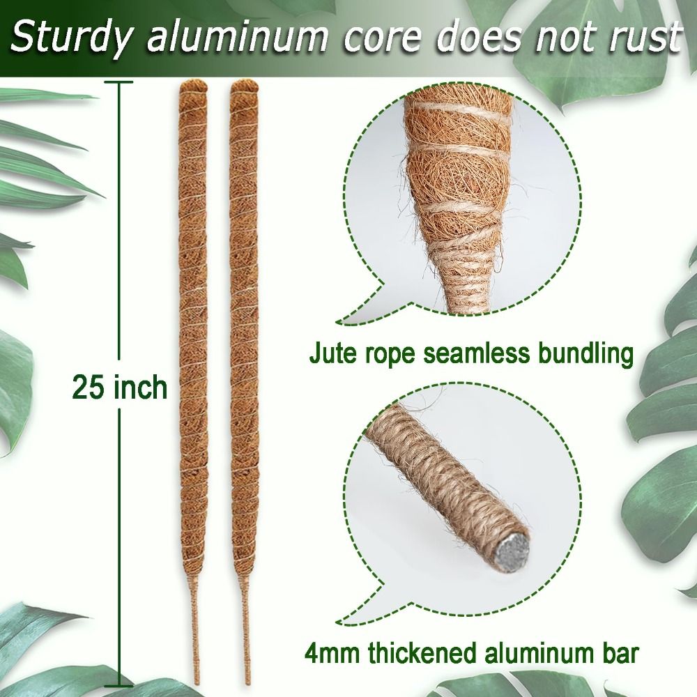 Plant Support Bendable Moss Po - Sphagnum Moss Dry ulasan dan harga