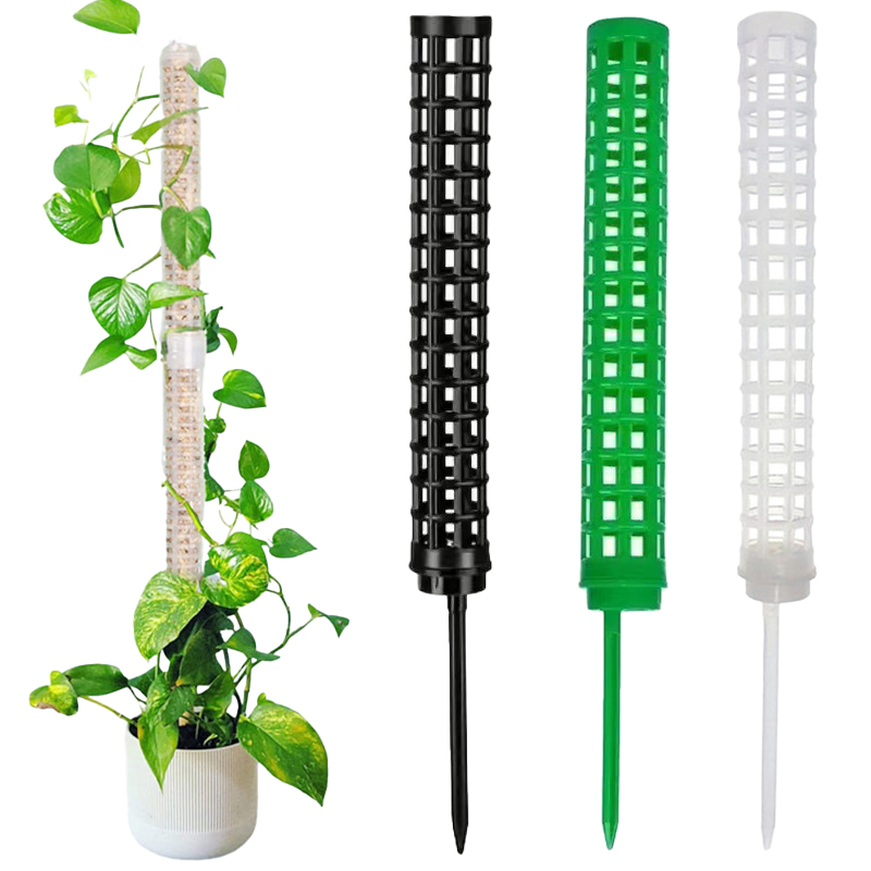 Plant Climbing Column Sphagnum - Sphagnum Moss Dry ulasan dan harga