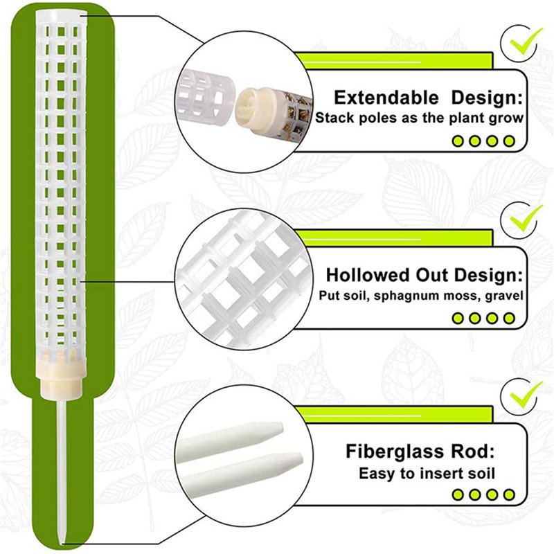 Plastics Moss Pole Plastics St - Sphagnum Moss Dry ulasan dan harga