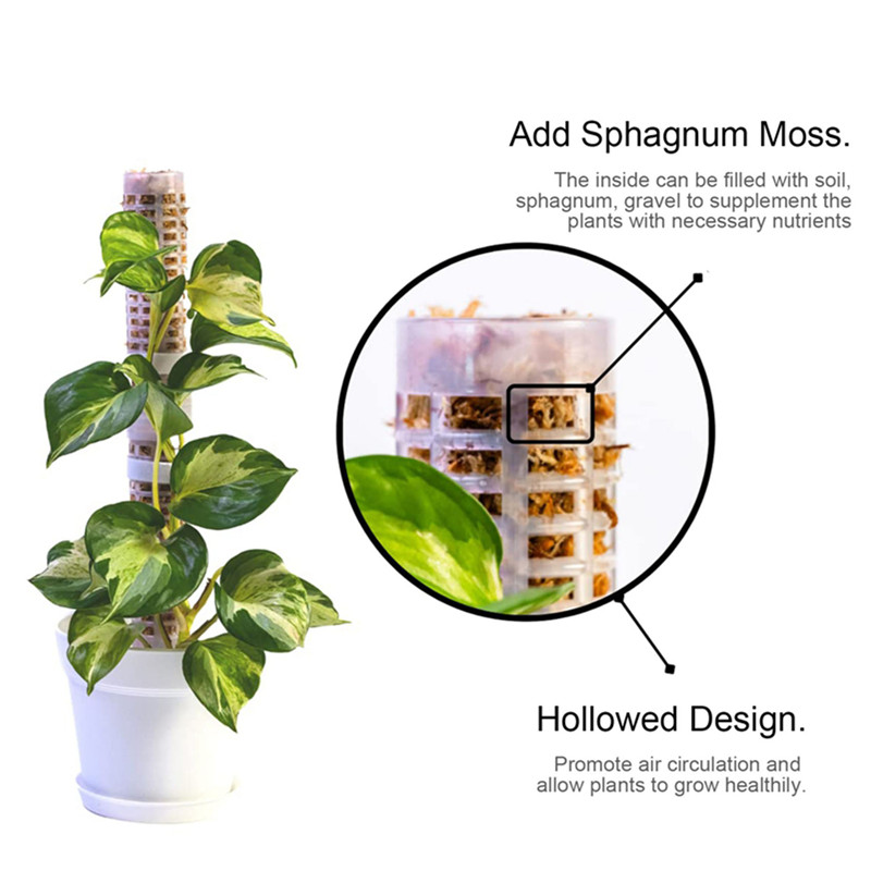Plastics Moss Pole Plastics St - Sphagnum Moss Dry ulasan dan harga