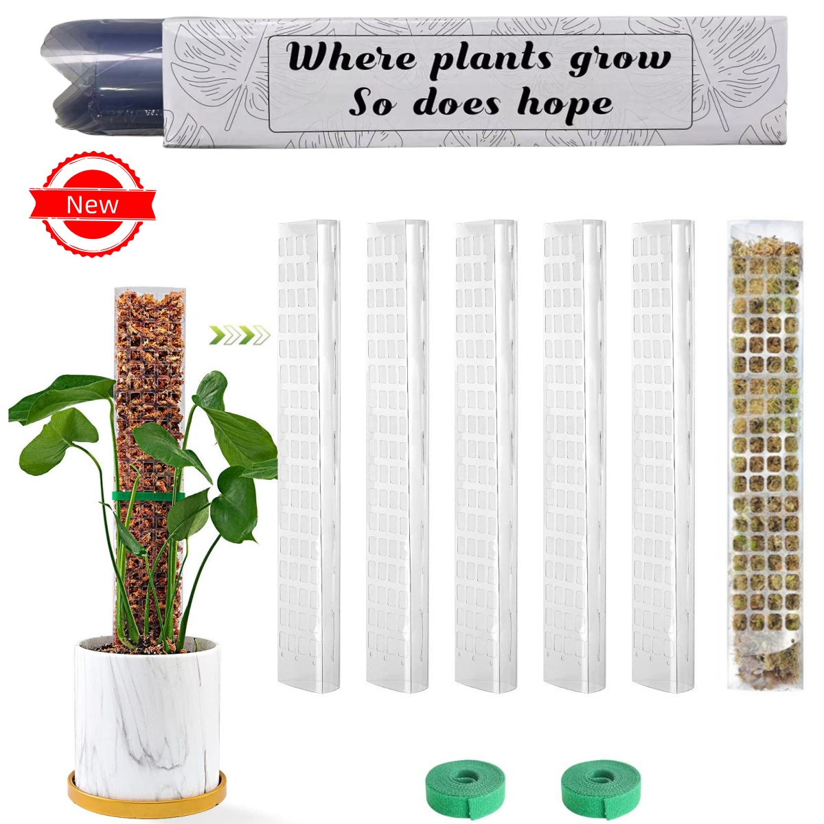 Plants Moss Pole Garden Subjec - Sphagnum Moss Dry ulasan dan harga