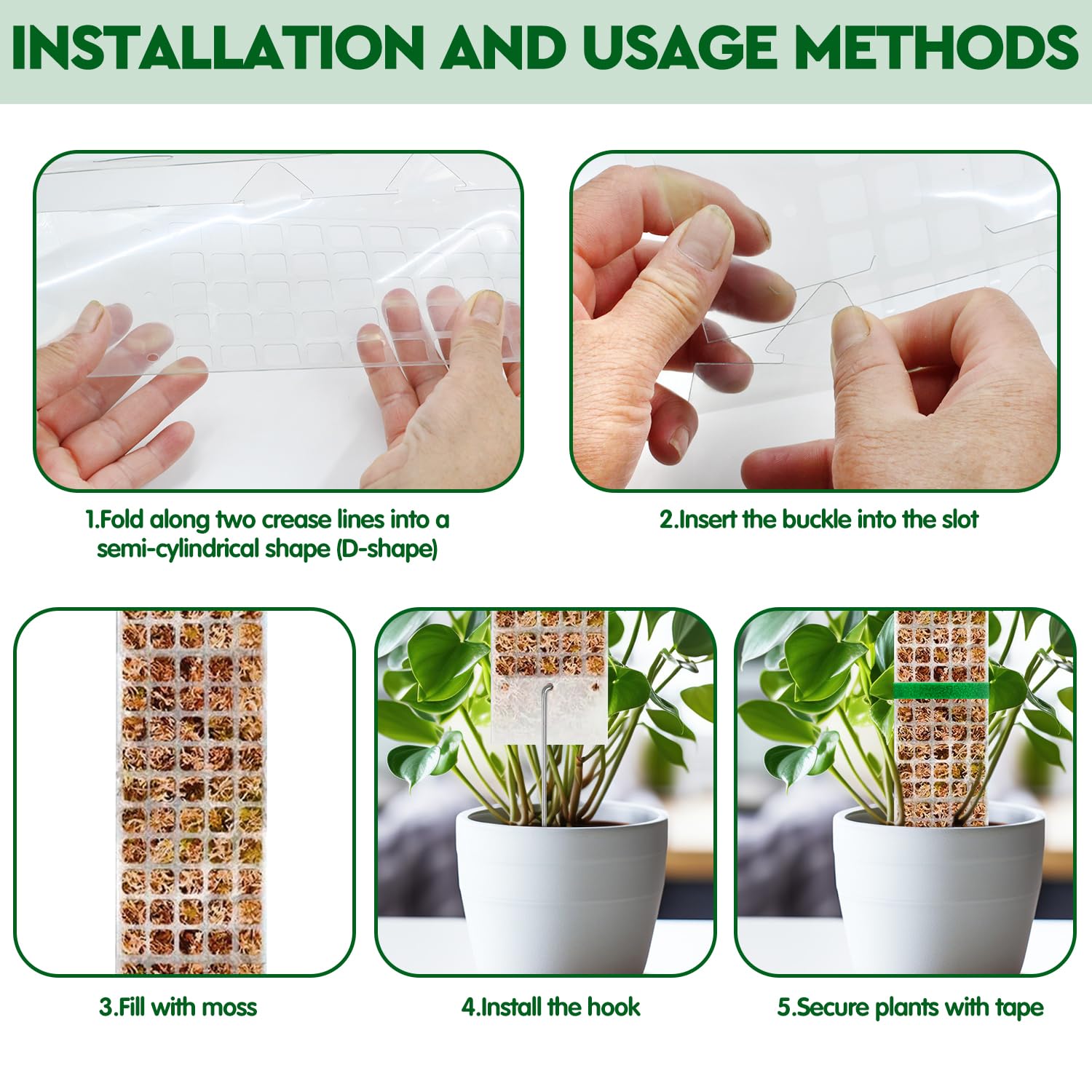 Plants Moss Pole Garden Subjec - Sphagnum Moss Dry ulasan dan harga