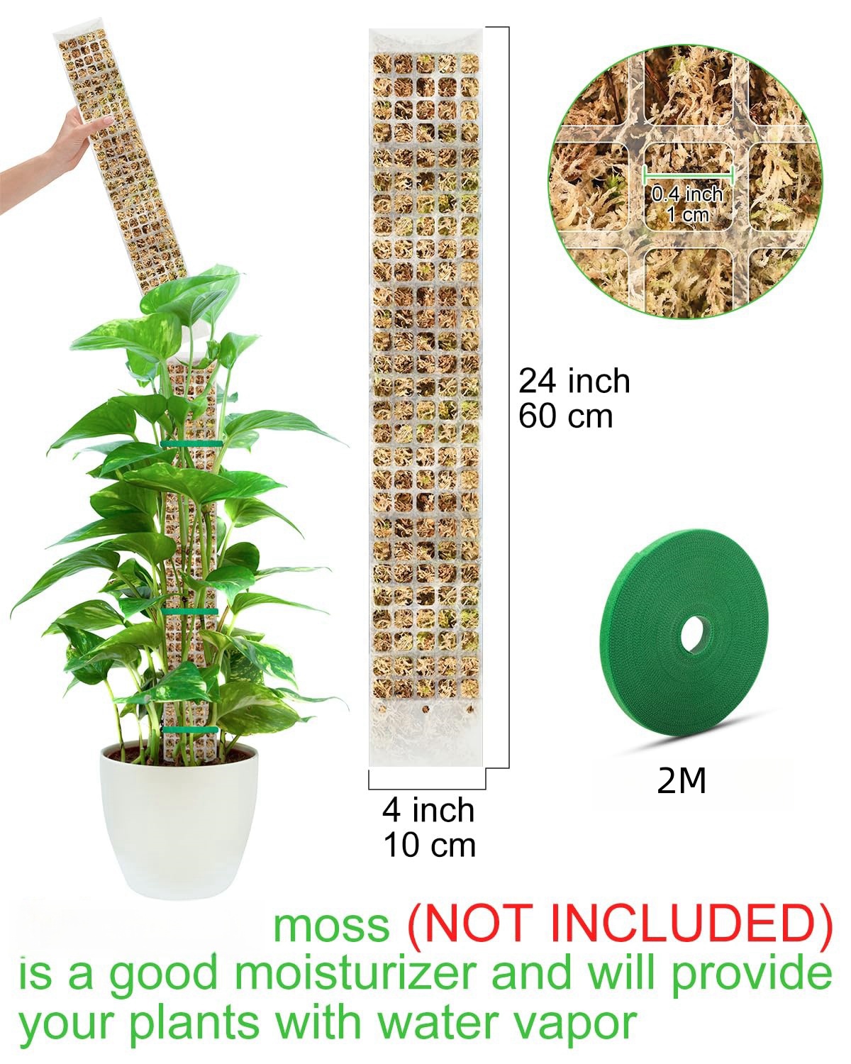 Plants Moss Pole Garden Subjec - Sphagnum Moss Dry ulasan dan harga