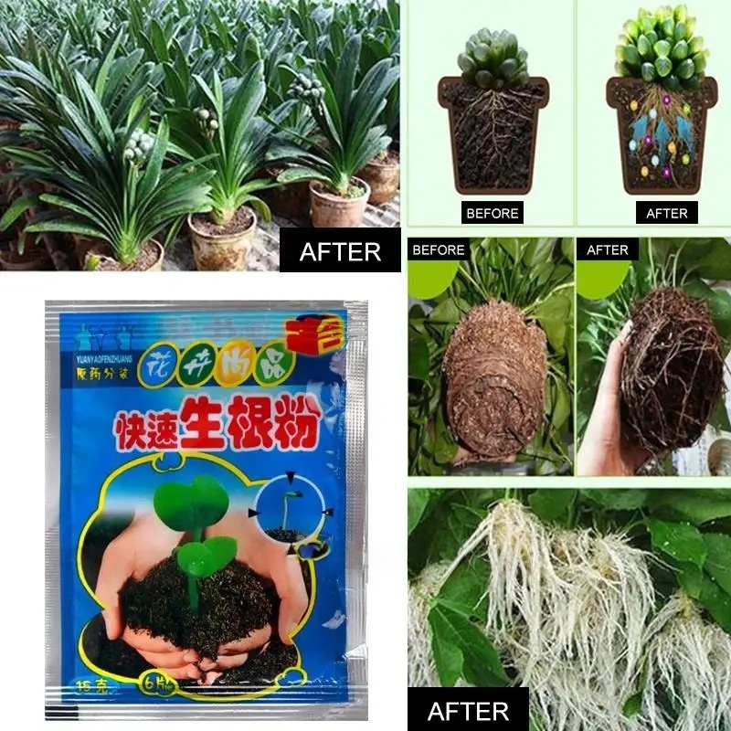 5pcs Fast Rooting Powder Plant - Root Stimulator Liquid ulasan dan harga